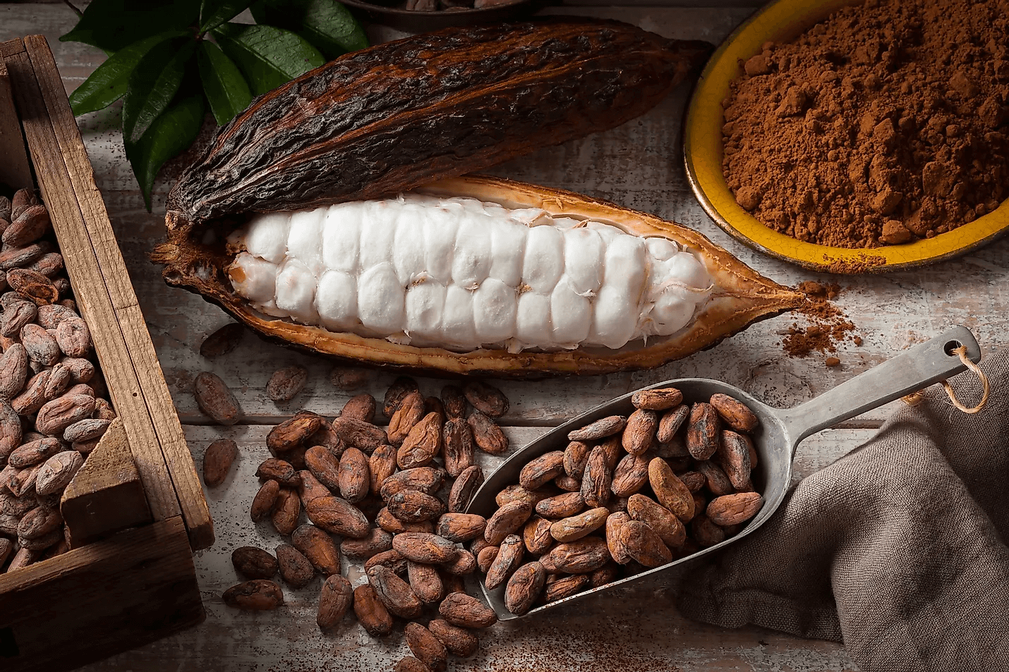 The Leading Supplier of Cocoa Product Spicescoco